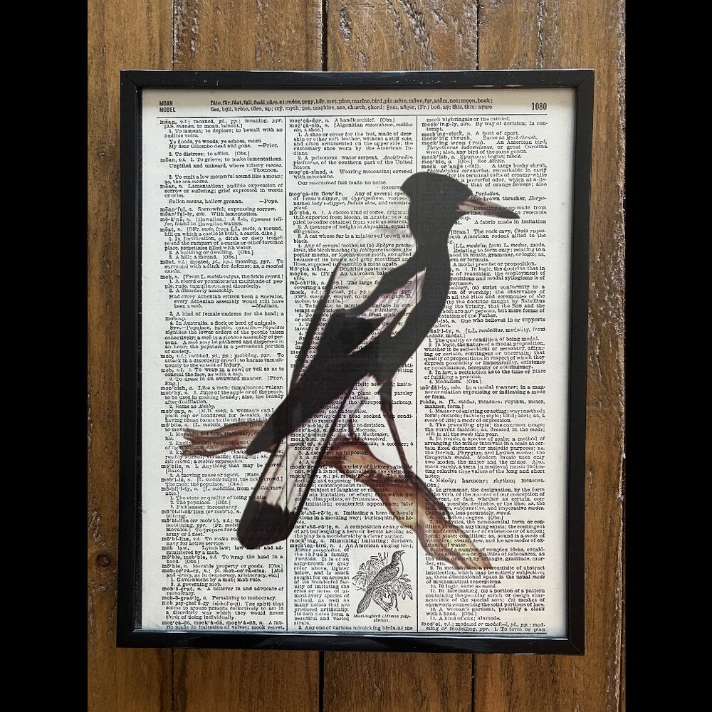 Raven Art
